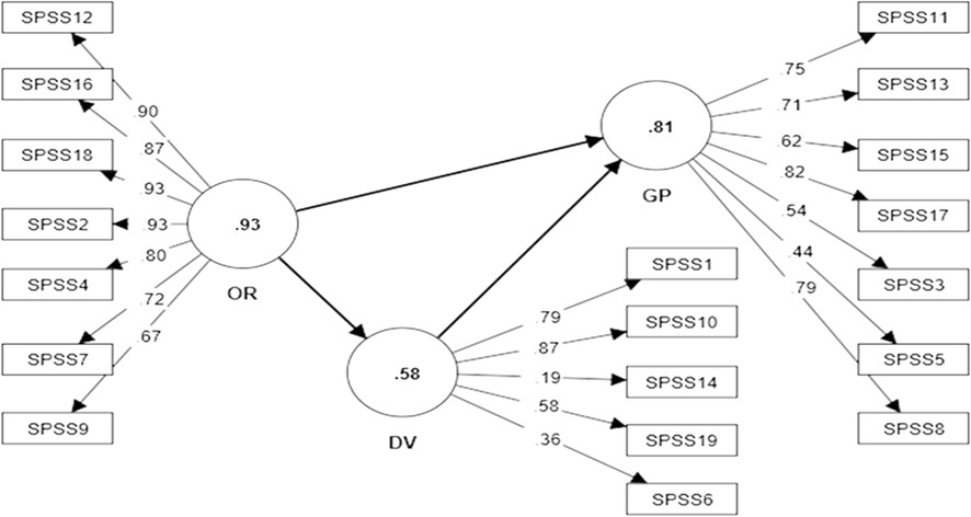 Figura 2. Estrutura da SPSS baseada na análise fatorial confirmatória no Brasil