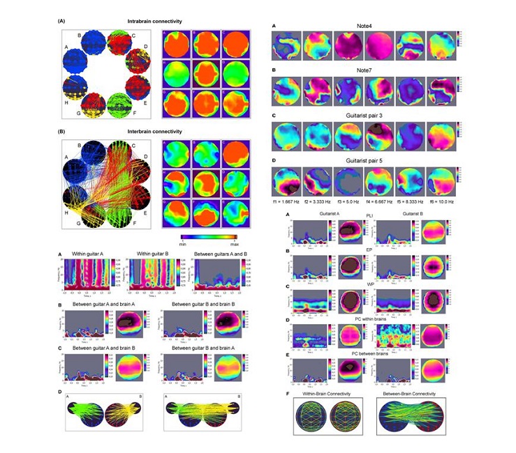 Figura 5. Datos visuales extraídos de las investigaciones de Müller & Lindenberger que muestran la sincronía y conexiones colectivas entre artistas y su público.